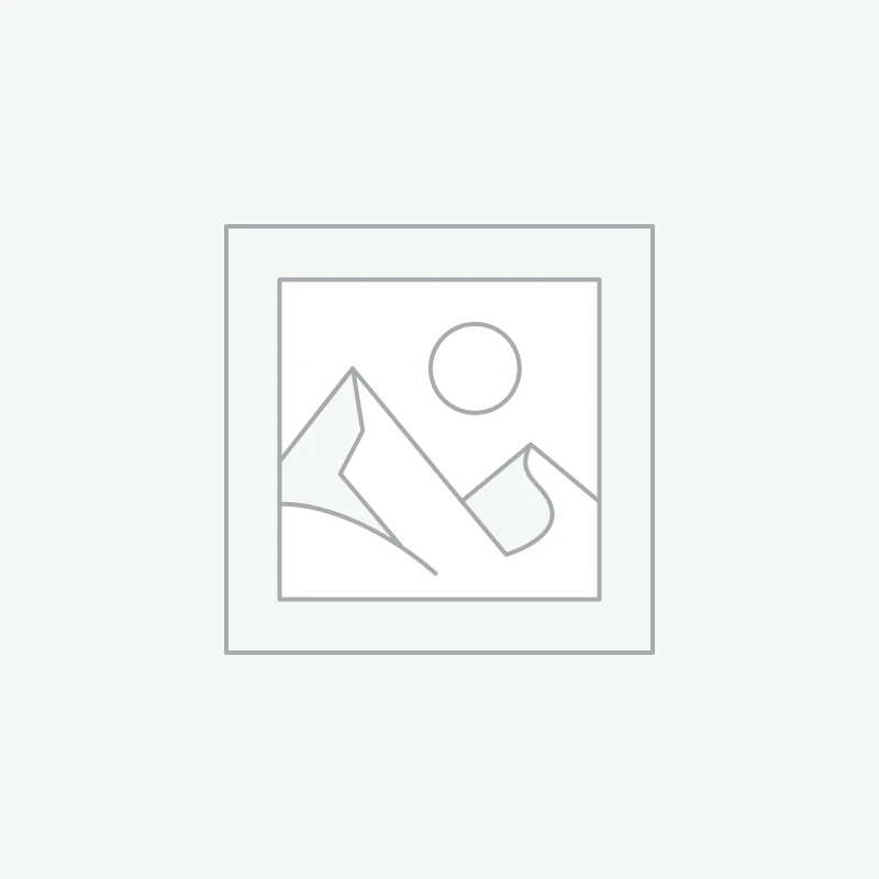 Apple - 11'' iPad Pro  with Wi-Fi 256 GB